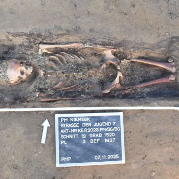 01.12.2025: Niemegk, Straße der Jugend, Aktuelle Funde